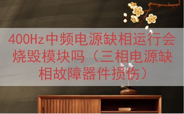 400Hz中频电源缺相运行会烧毁模块吗（三相电源缺相故障器件损伤）